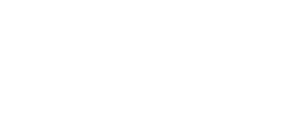 Digital Revenue Systems