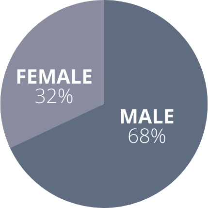 A pie chart showing the percentage of female and male