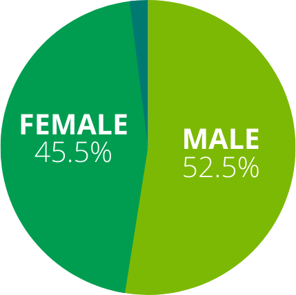 A pie chart showing female 45.5 % and male 52.5 %