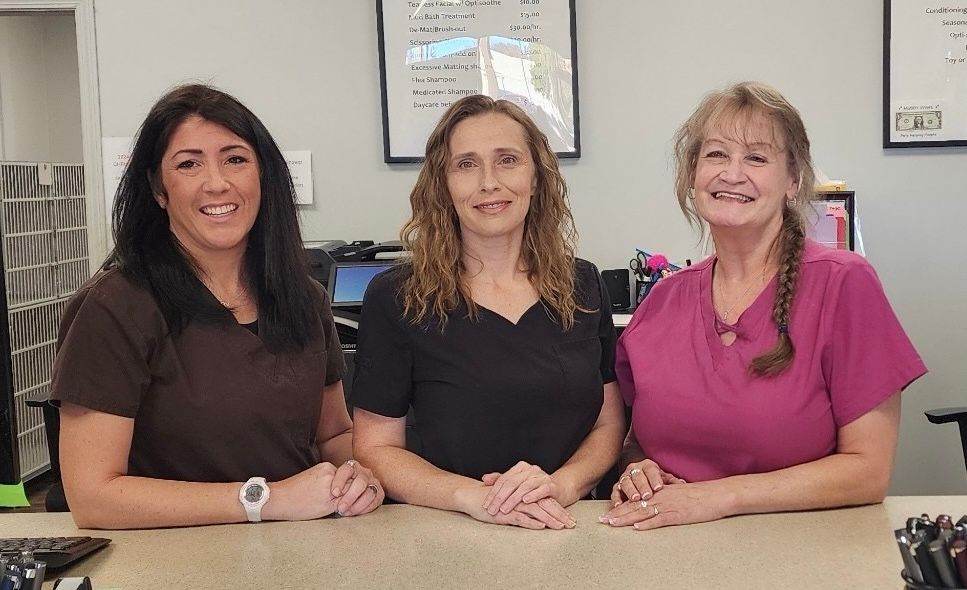 Three women in scrubs are posing for a picture while sitting at a desk.