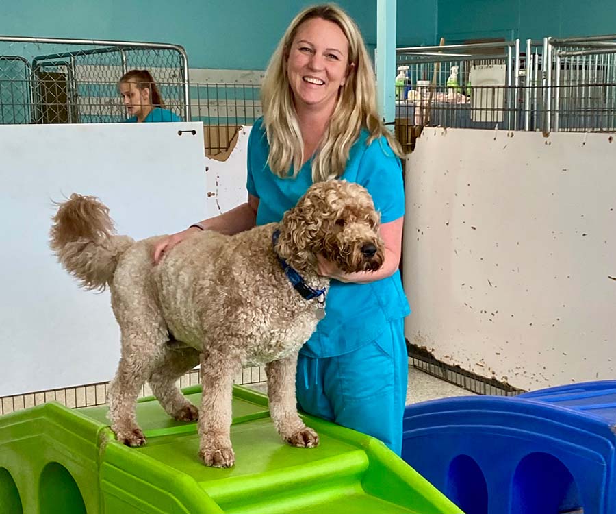 Services Muddy Paws Pet Grooming and Boarding in Tulsa