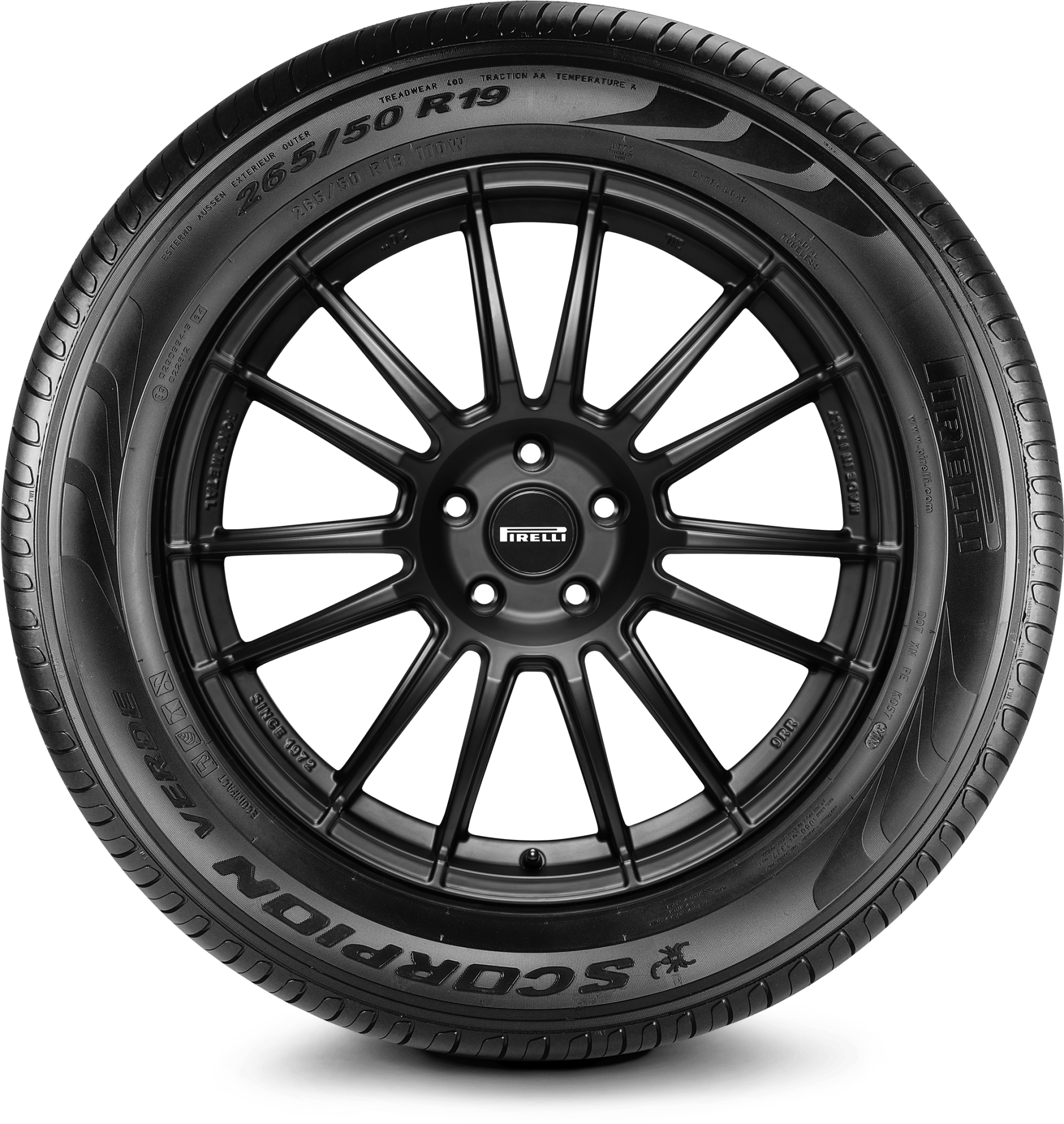 pneumatico Scorpion R19