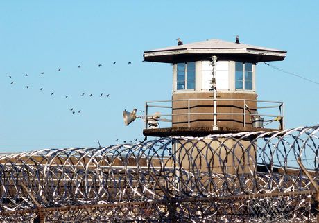 Prison watchtower with razor wire fence; birds fly past.