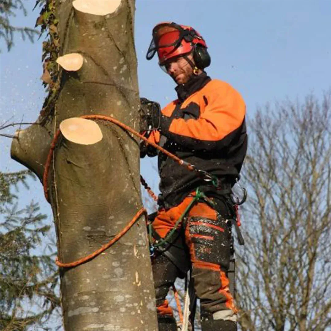 Minneapolis tree removal services