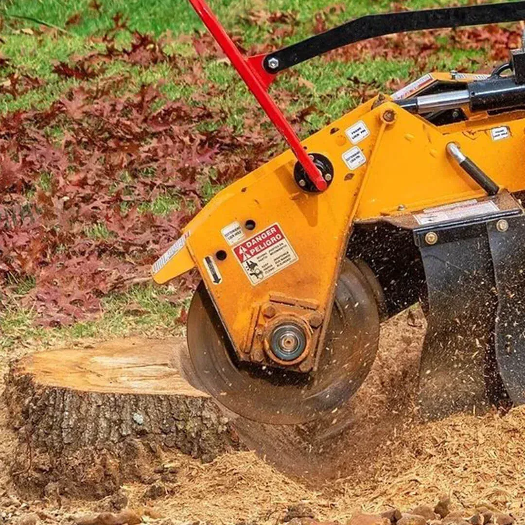 stump grinding removal service in minneapolis