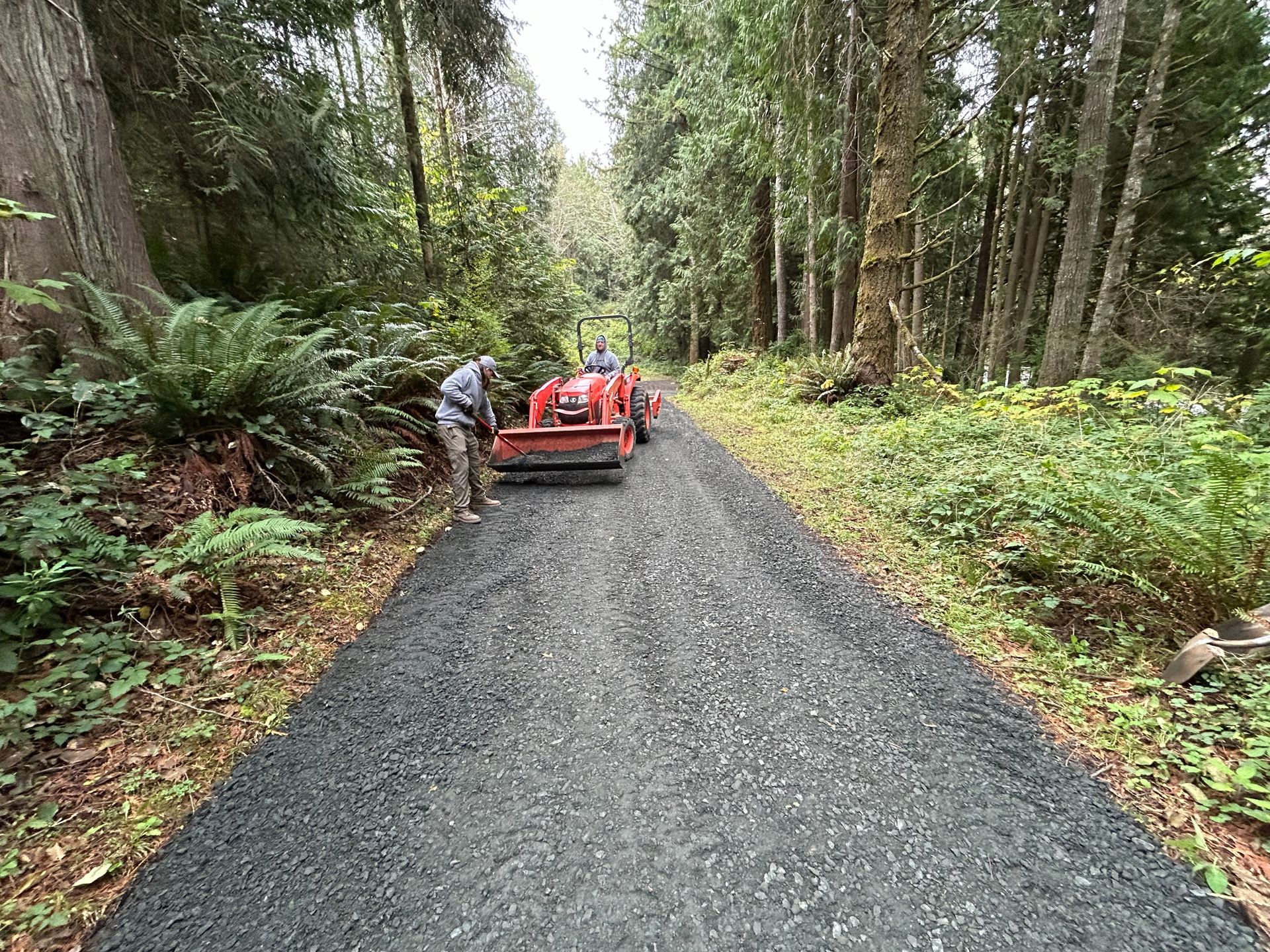 A man is standing next to a red tractor on a dirt road in the woods.