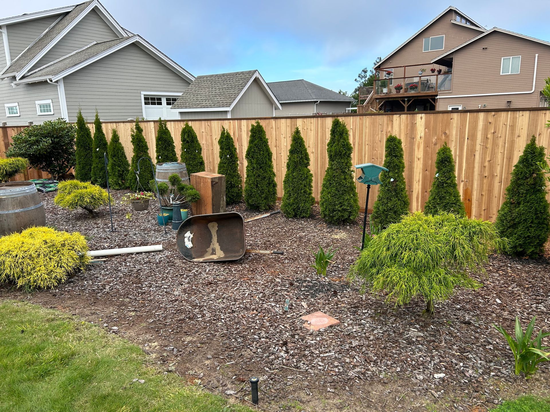 A wooden fence is surrounded by trees and shrubs in a backyard.