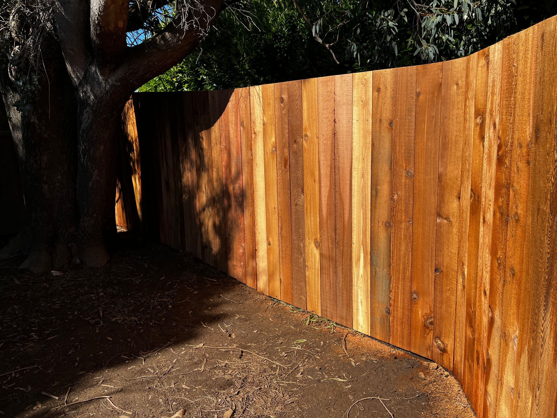 A wooden fence is surrounded by trees in a backyard.