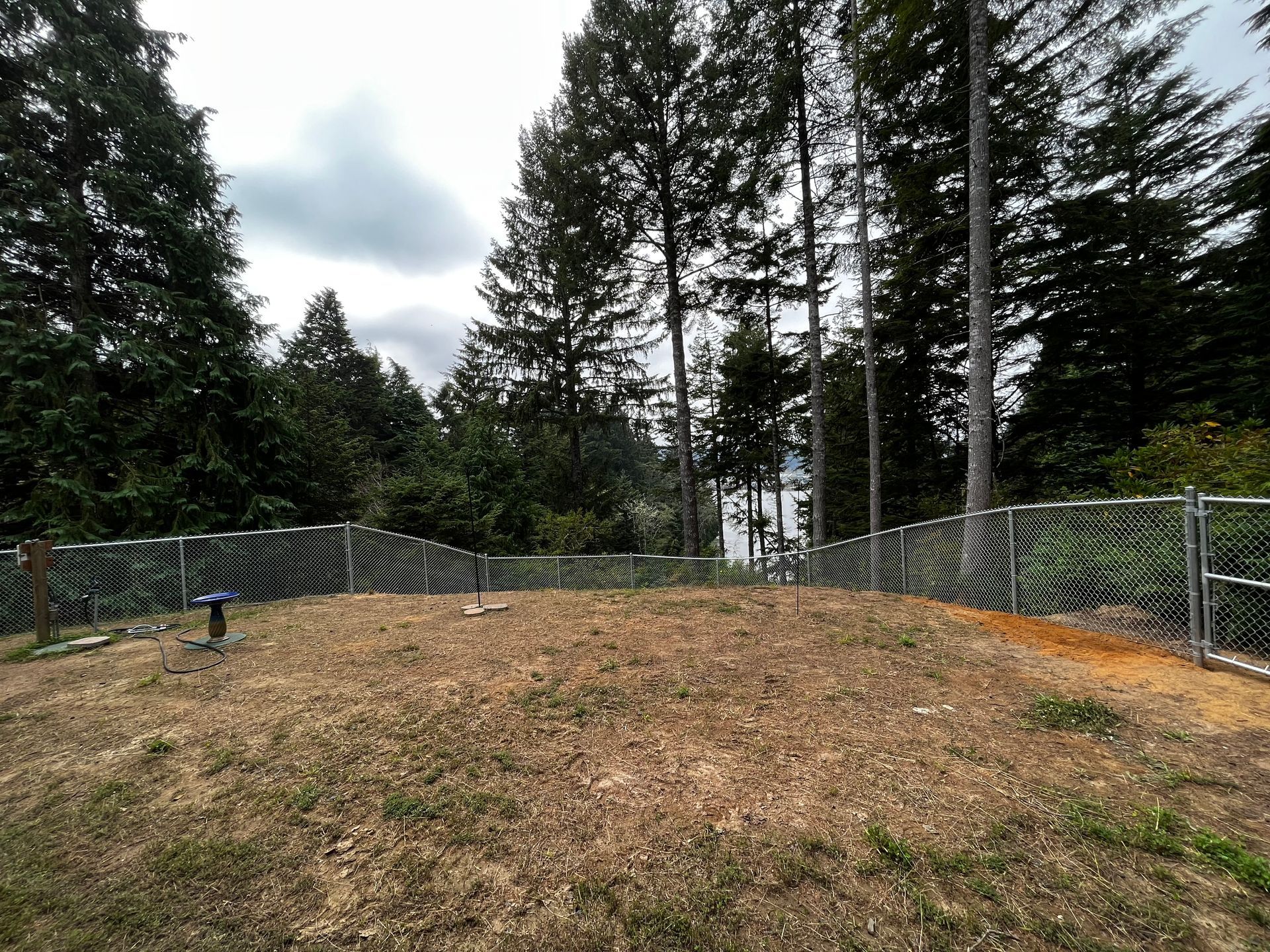 A chain link fence surrounds a large field with trees in the background.