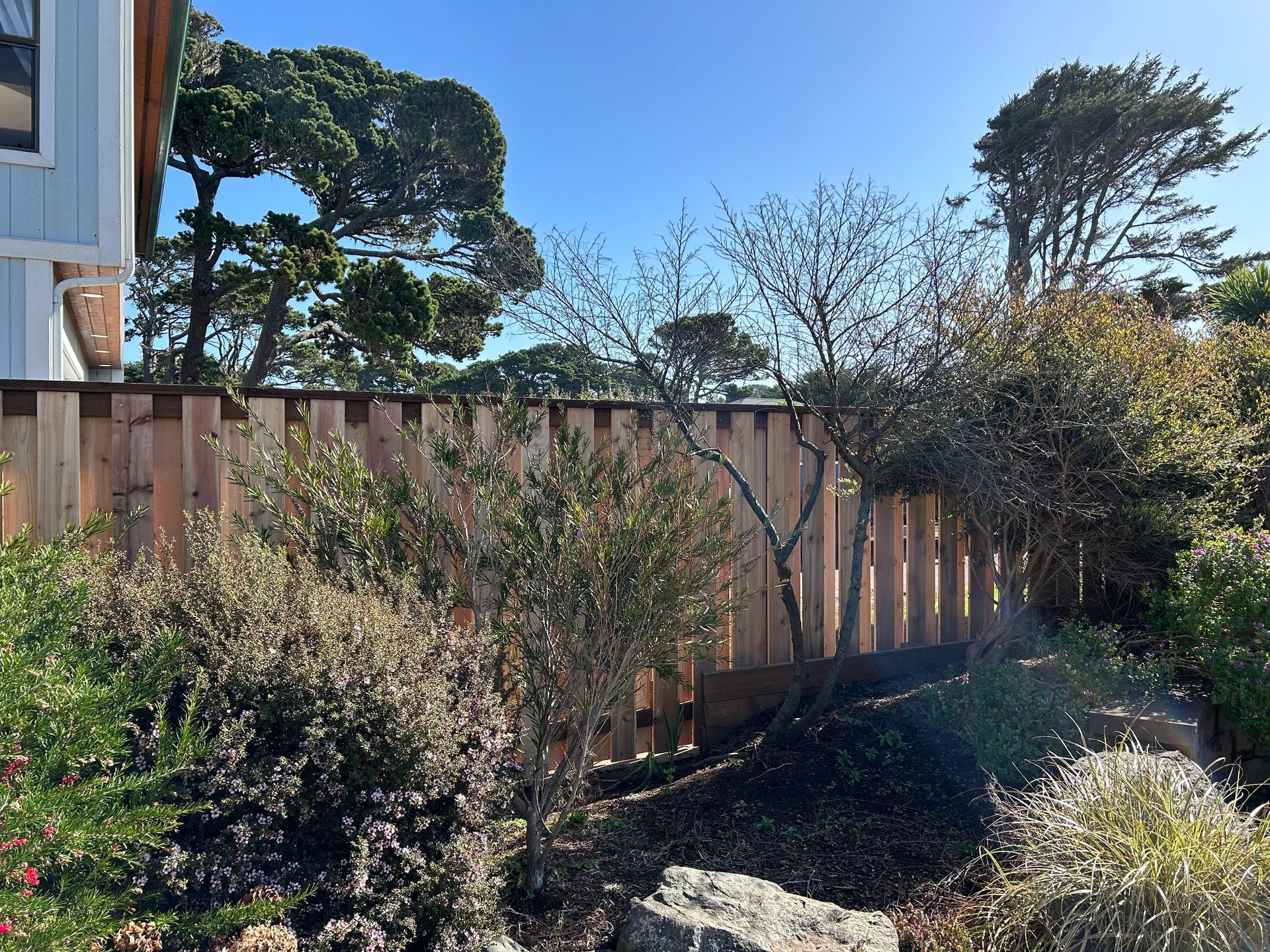 A wooden fence is surrounded by trees and bushes in a garden.