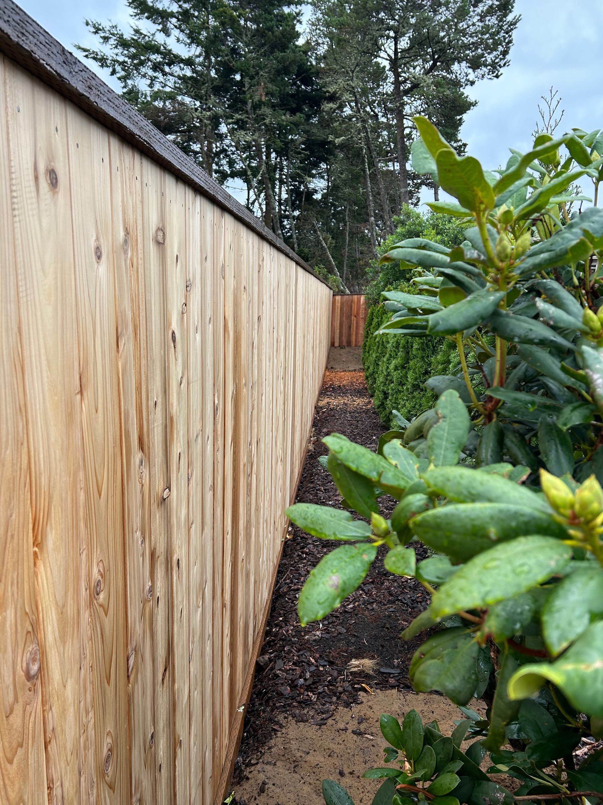 A wooden fence is surrounded by trees and bushes.