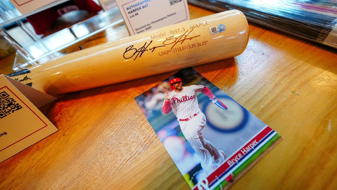 Baseball Bat — Conshohocken, PA — Team Foster