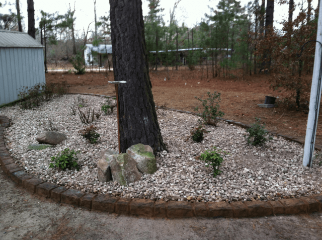 Landscape bed with rocks, plants, and a tree trunk, bordered by dark edging. Gray shed in the background.