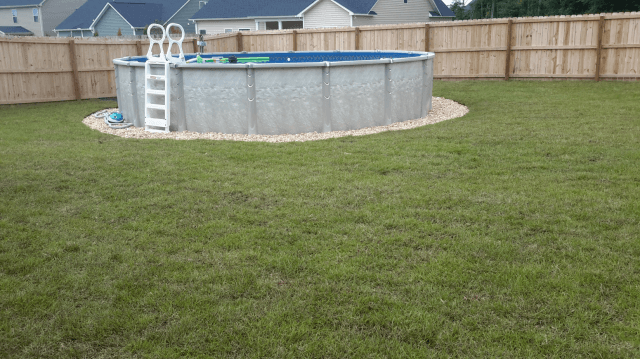 Above-ground pool in a grassy backyard, surrounded by a wooden fence.