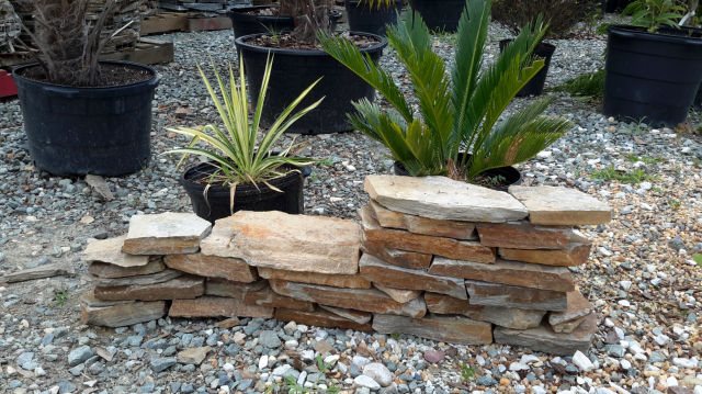 Stone wall planter with two potted plants, set in a gravel area with more potted plants in background.