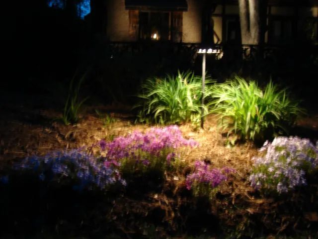 A lit garden bed at night, featuring purple, pink, and white flowers, and green plants.