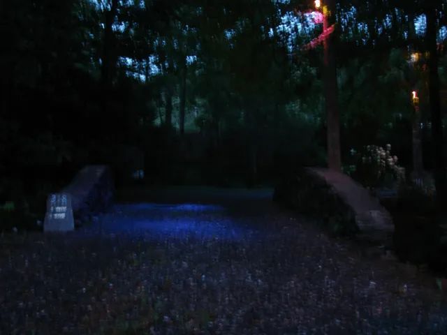 Nighttime gravel path, blue and pink lights, stone structures, dark trees.