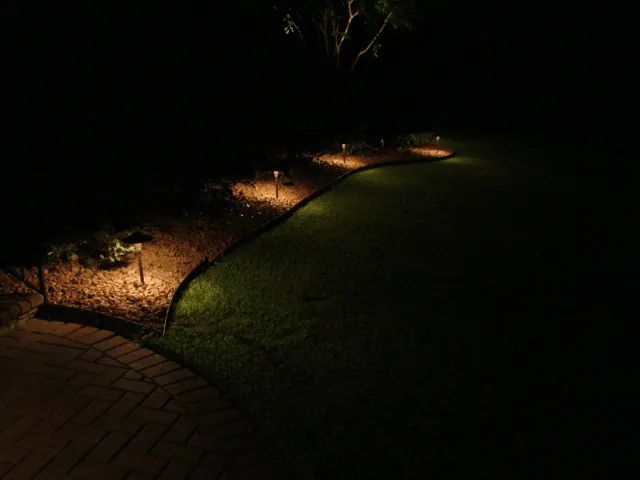 Path illuminated by landscape lighting at night.