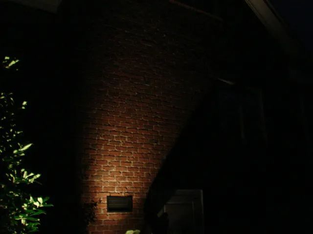Illuminated brick wall at night, with a small sign and foliage in the lower left corner.