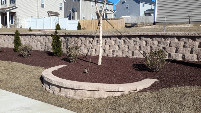 Landscaped yard with a retaining wall, mulch, and small trees and shrubs.
