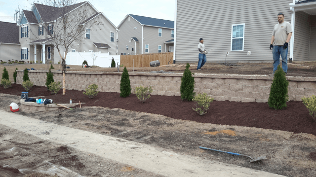 Landscapers installing plants in front of a house with a retaining wall. Mulch and tools are present.