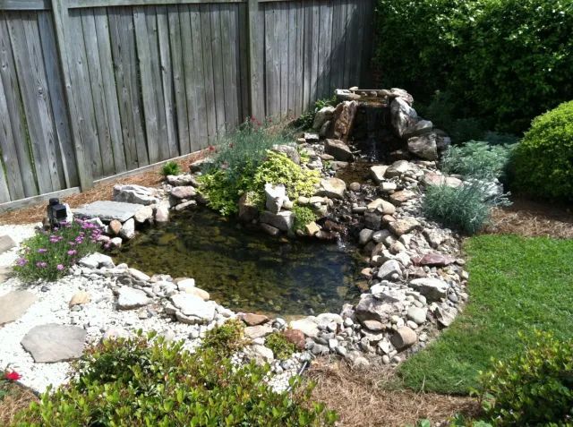 Small backyard pond with waterfall, surrounded by rocks, plants, and a wooden fence.