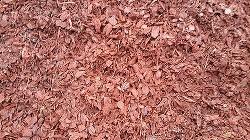 Reddish-brown mulch, consisting of shredded wood pieces, fills the frame.