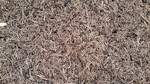 Brown mulch texture, shredded and fibrous.