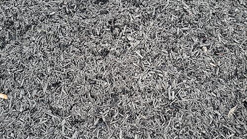 Black wood mulch covers the ground, creating a textured, dark gray surface.