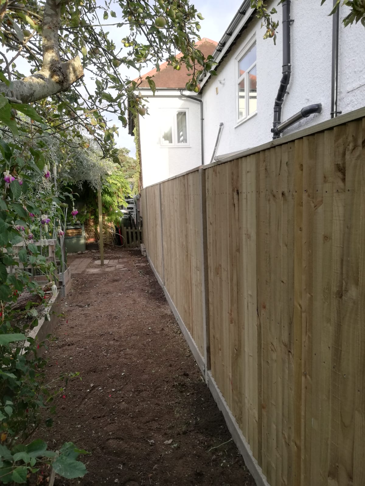 a new fence and trimmed hedge