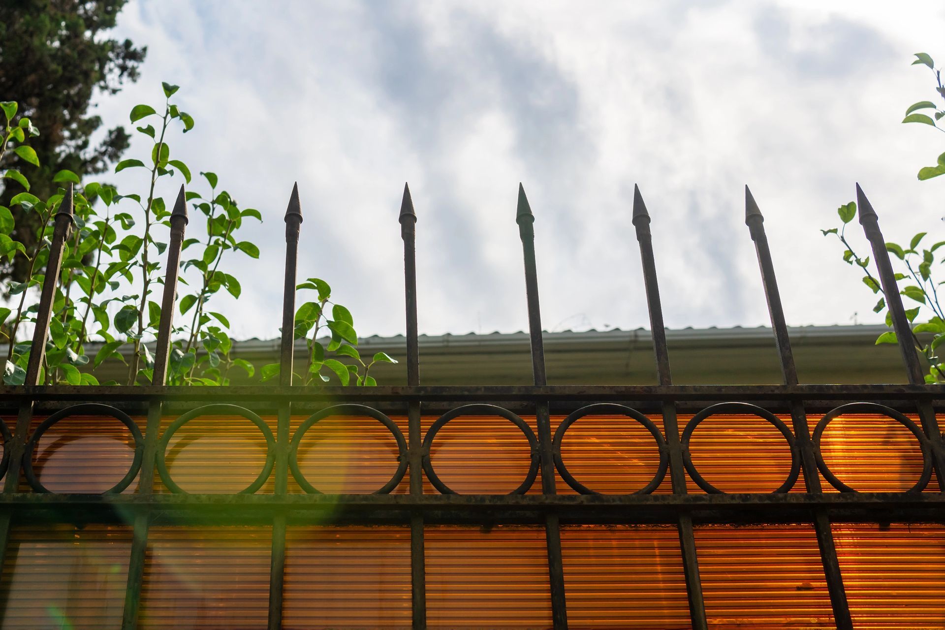 Recinzione in metallo nero con punte aguzze contro un cielo nuvoloso, sormontata da fogliame verde.