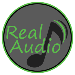 Real Audio LLC
