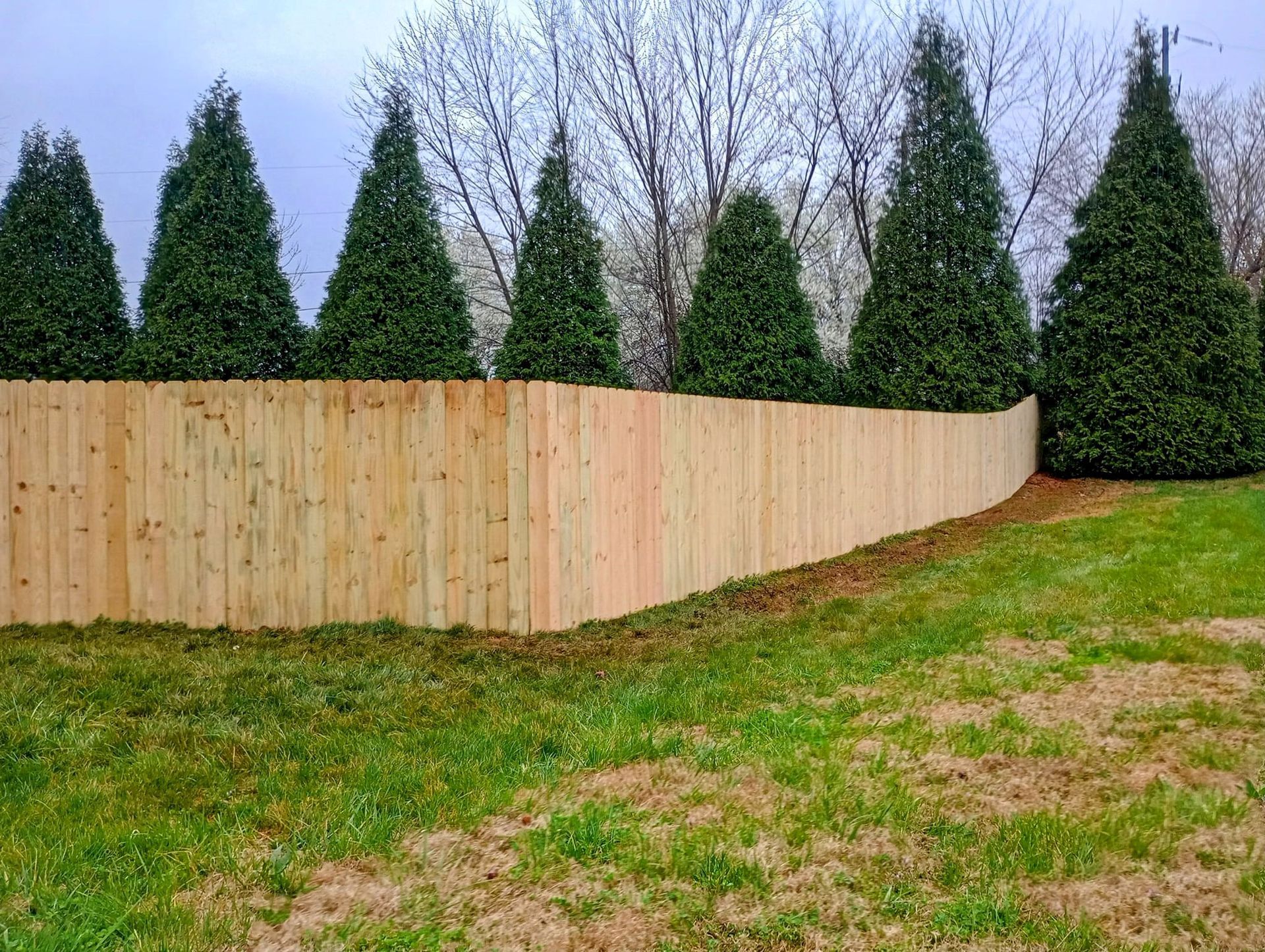 A wooden fence surrounds a lush green field with trees in the background.