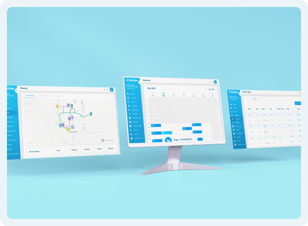 Web Development 