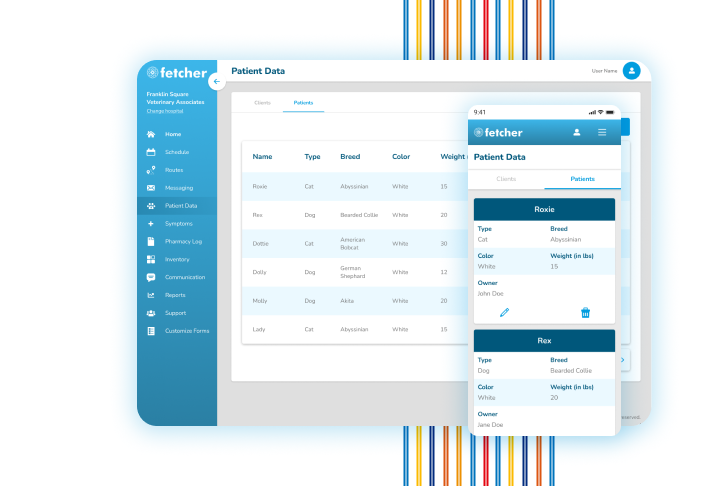 Patient Data & Symptoms