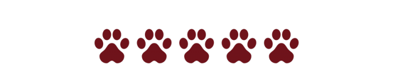 Five maroon-colored paw print icons arranged in a horizontal row.