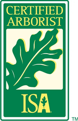 A certified arborist isa logo with an oak leaf