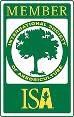 A member of the international society of arboriculture isa logo