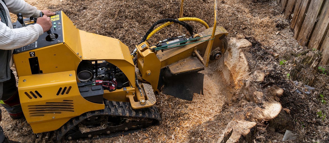 A man is using a machine to remove a tree stump.