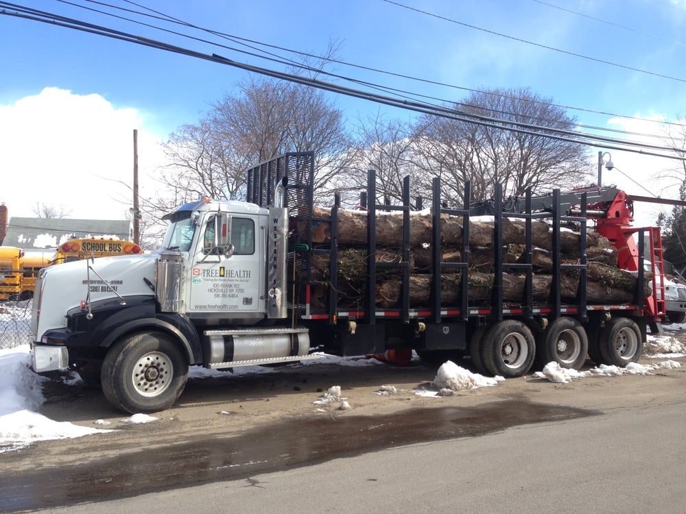 A large truck is loaded with logs and is parked on the side of the road.