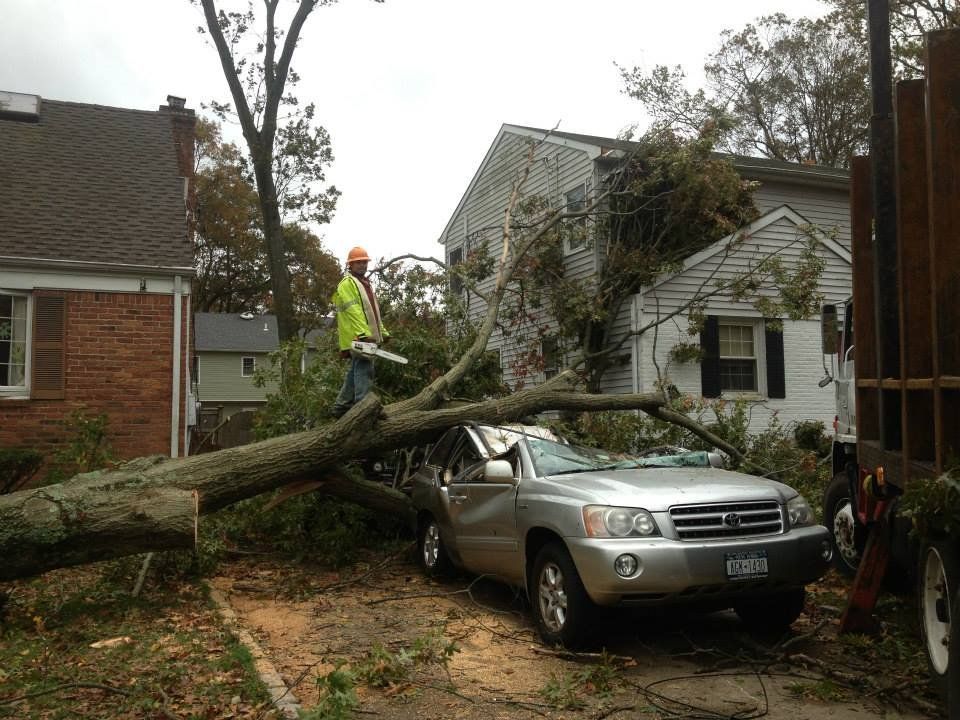 A silver suv is parked in front of a house with a tree fallen on it