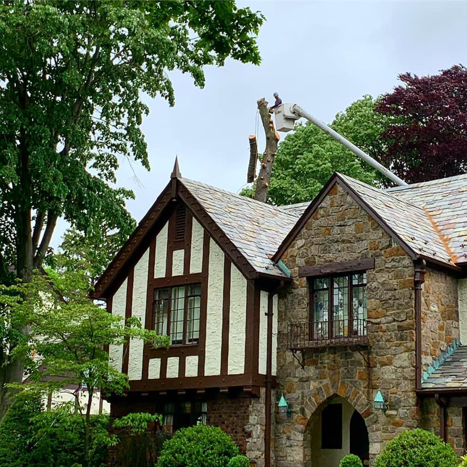 A man in a bucket is cutting a tree on the roof of a house.