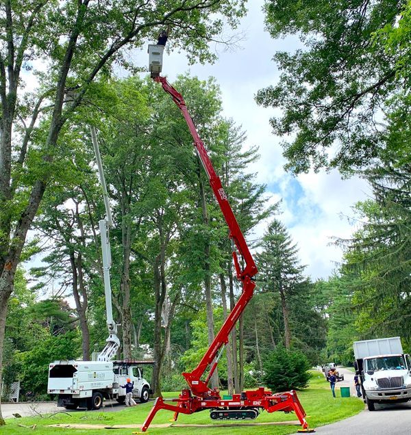 A red crane is cutting a tree in a park.