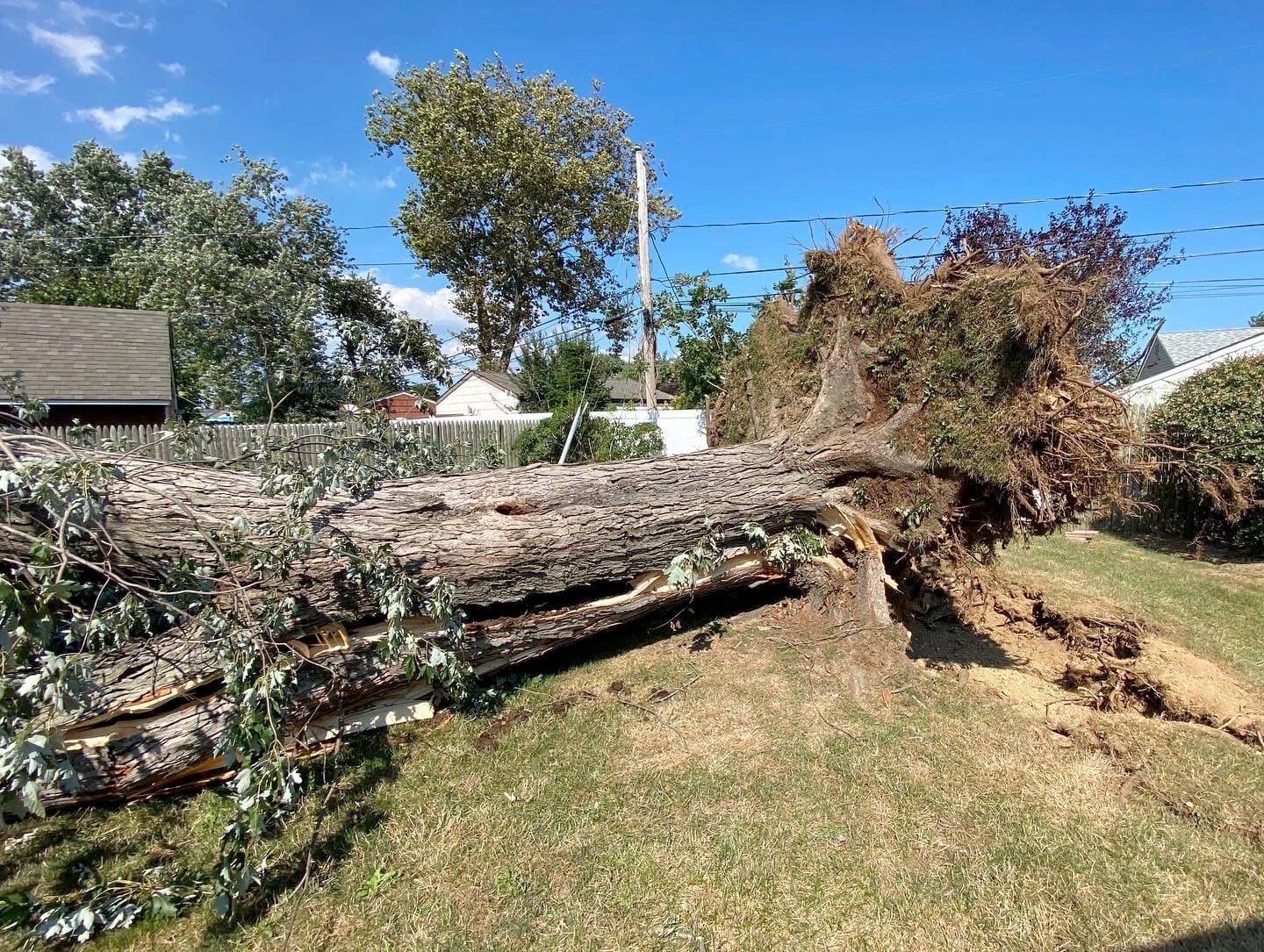 A large tree stump is laying in the grass in front of a house.