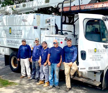 A group of men are standing in front of a tree health truck.