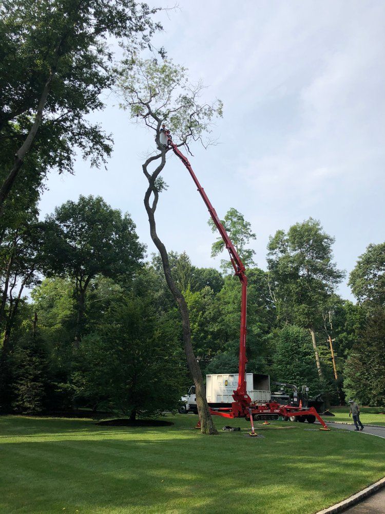 A red crane is cutting a tree in a park.