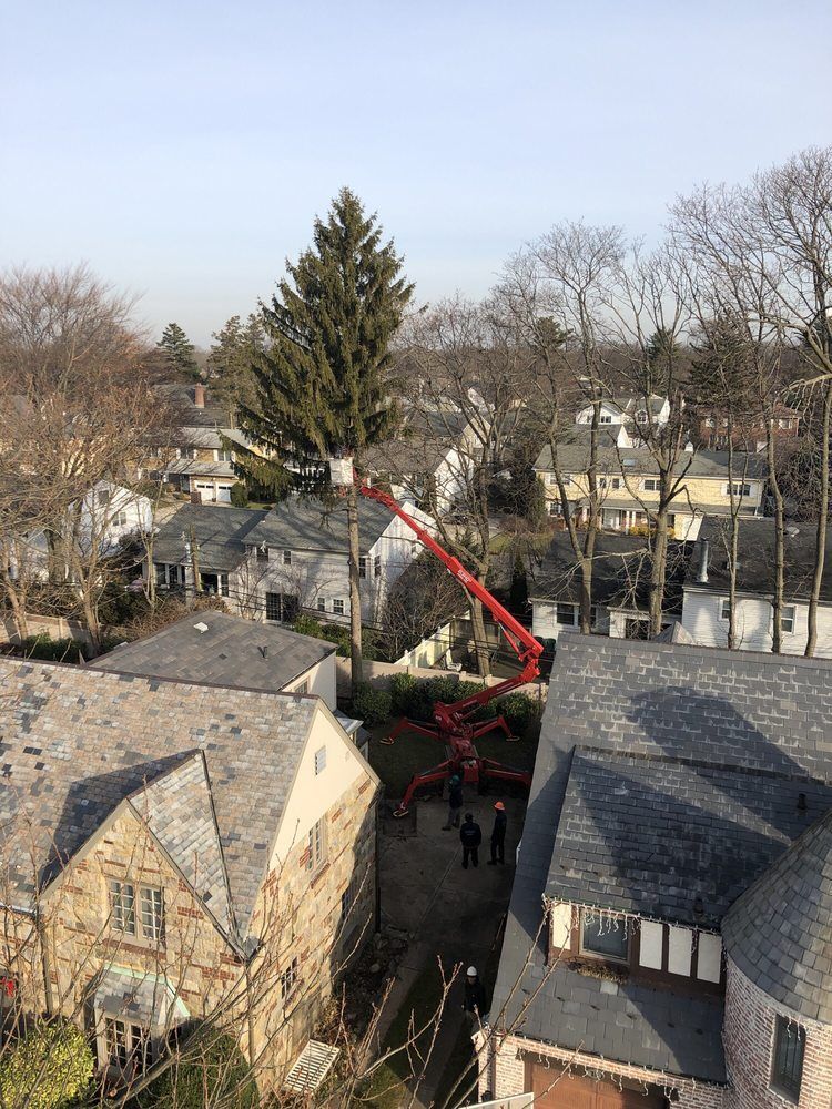 An aerial view of a tree being cut down in a residential area.