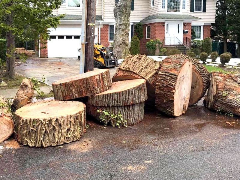 A pile of logs sitting on the side of the road in front of a house.