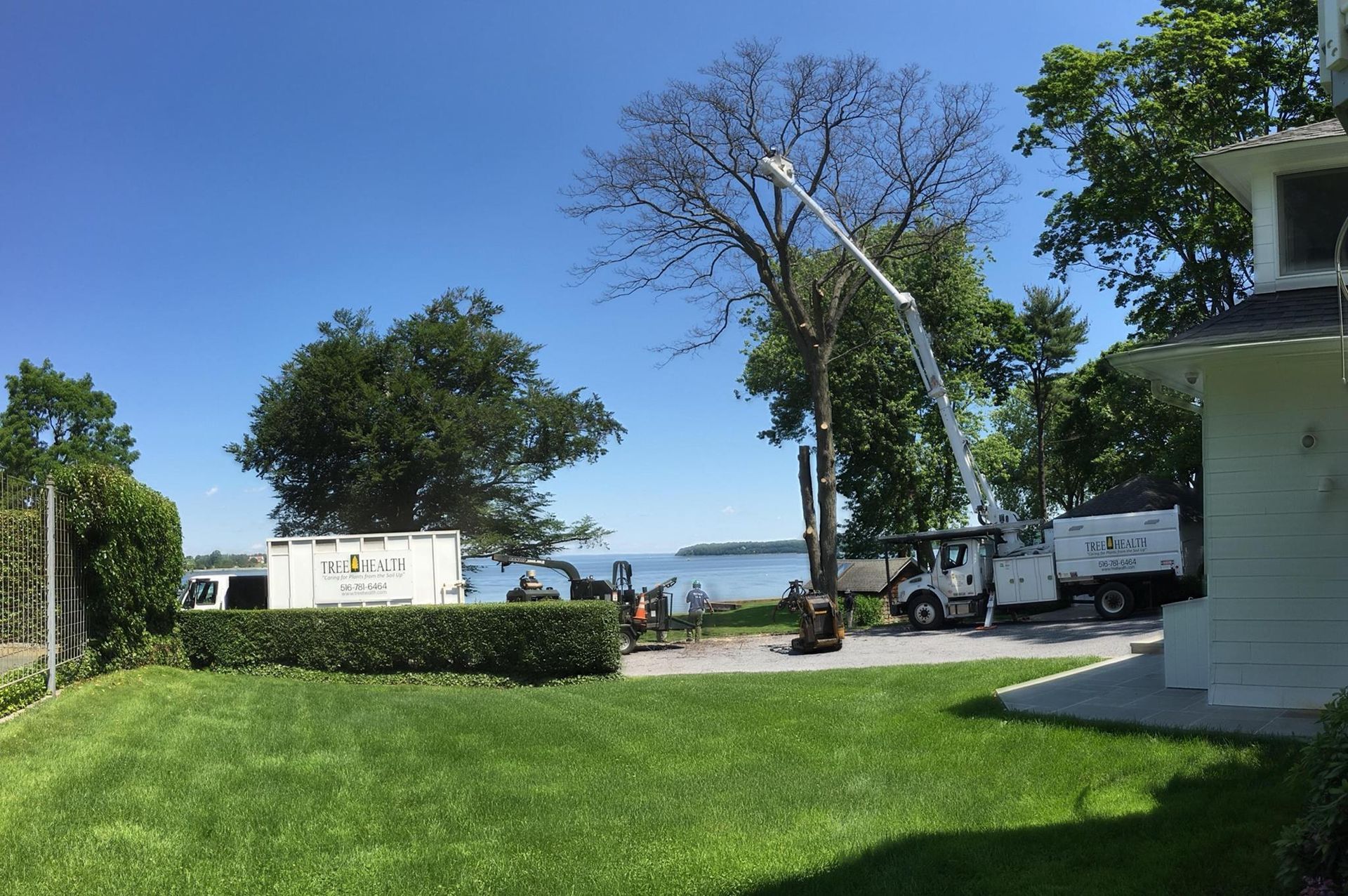 A crane is cutting a tree in front of a house.