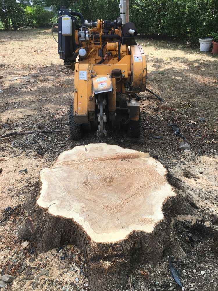 A large tree stump is being removed by a machine.